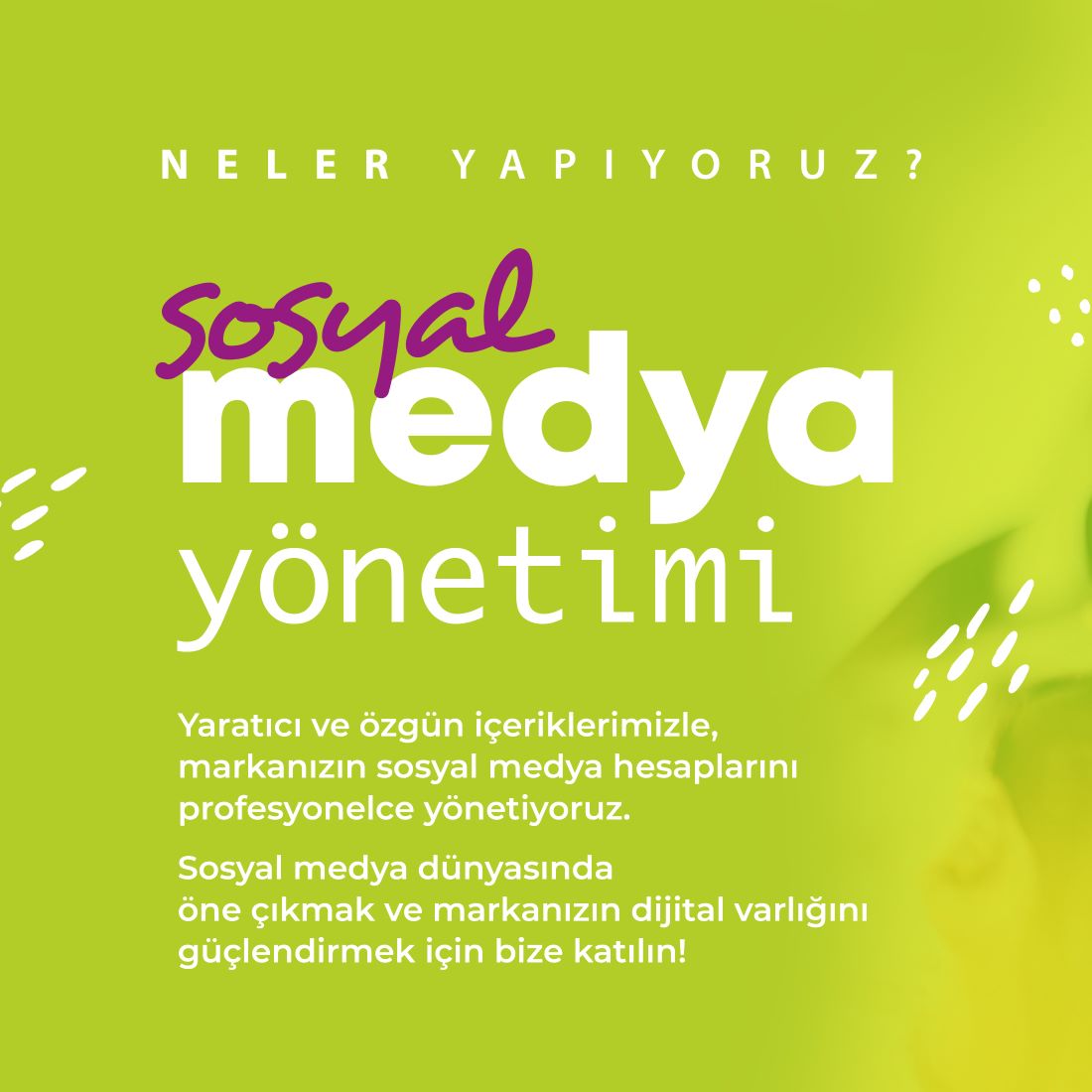 Sosyal Medya Yönetimi